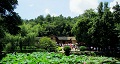 長沙出發(fā)到花明樓、韶山、張家界國家森林公園、天門仙山國家森林公園四日游